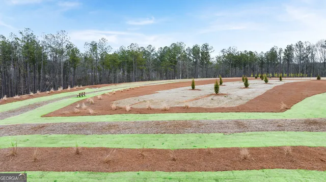 a view of a back yard with green space