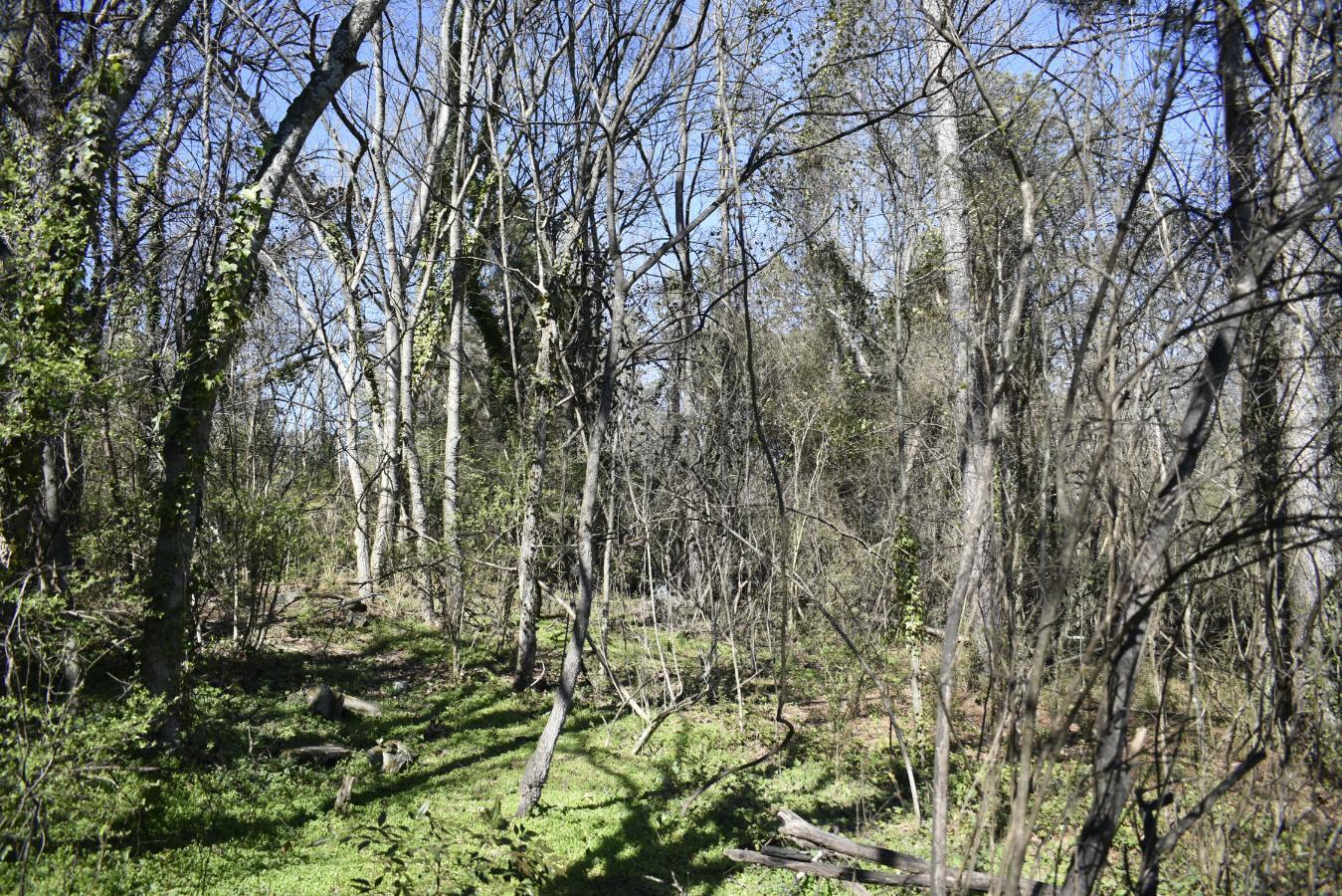 109 7th Street Rossville, GA 30741 - Photo 4 of 10 _DSC0665