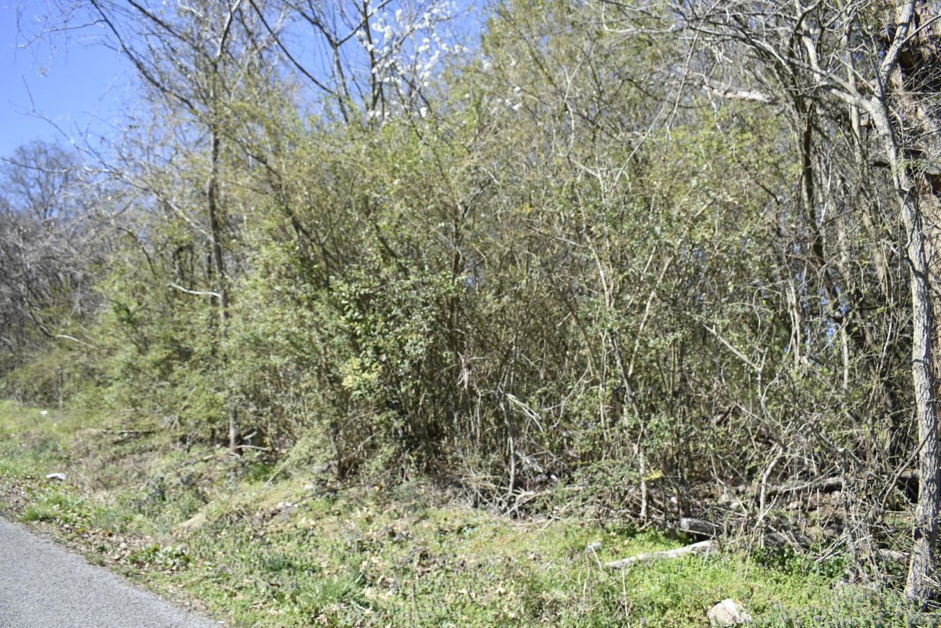 109 7th Street Rossville, GA 30741 - Photo 7 of 10 _DSC0663