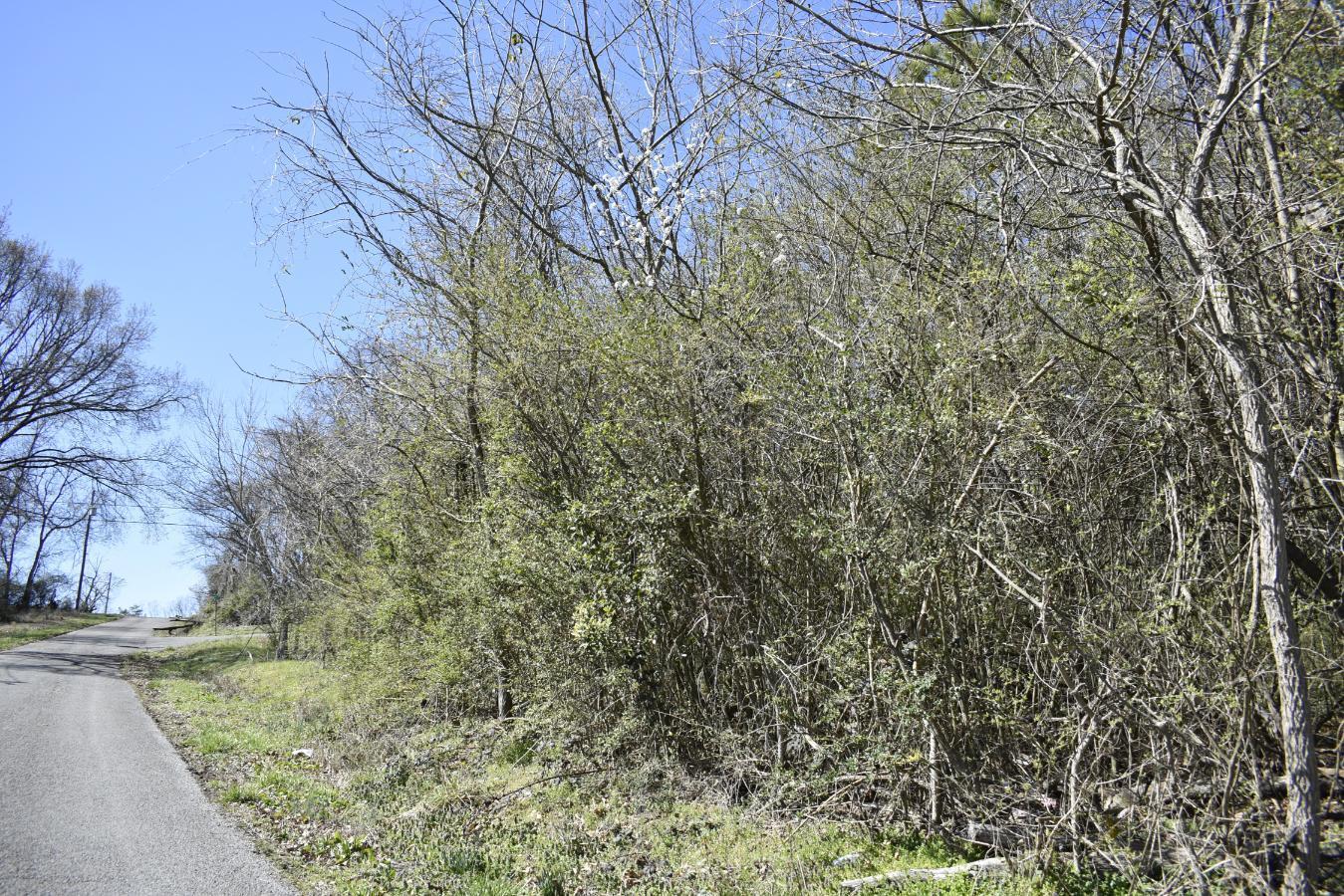 109 7th Street Rossville, GA 30741 - Photo 10 of 10 _DSC0671