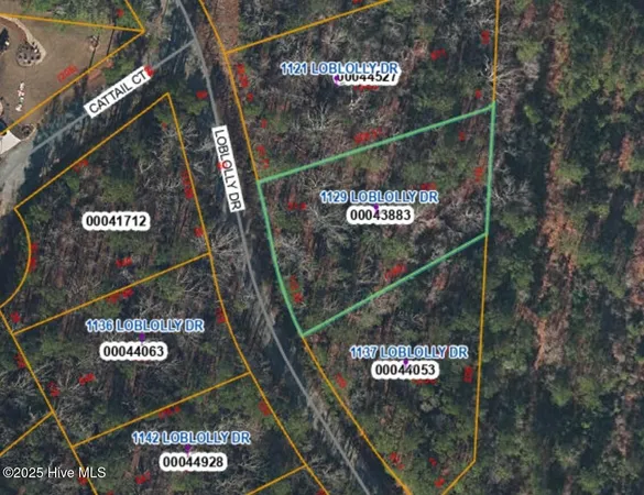 $31,000 | 1129 Loblolly Drive, Vass, NC 28394