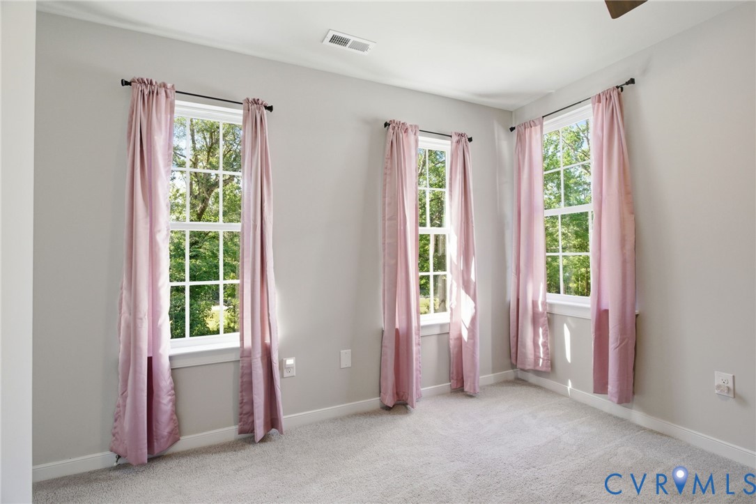 8405 East Patrick Henry Road Ashland, VA 23005 - Photo 29 of 46