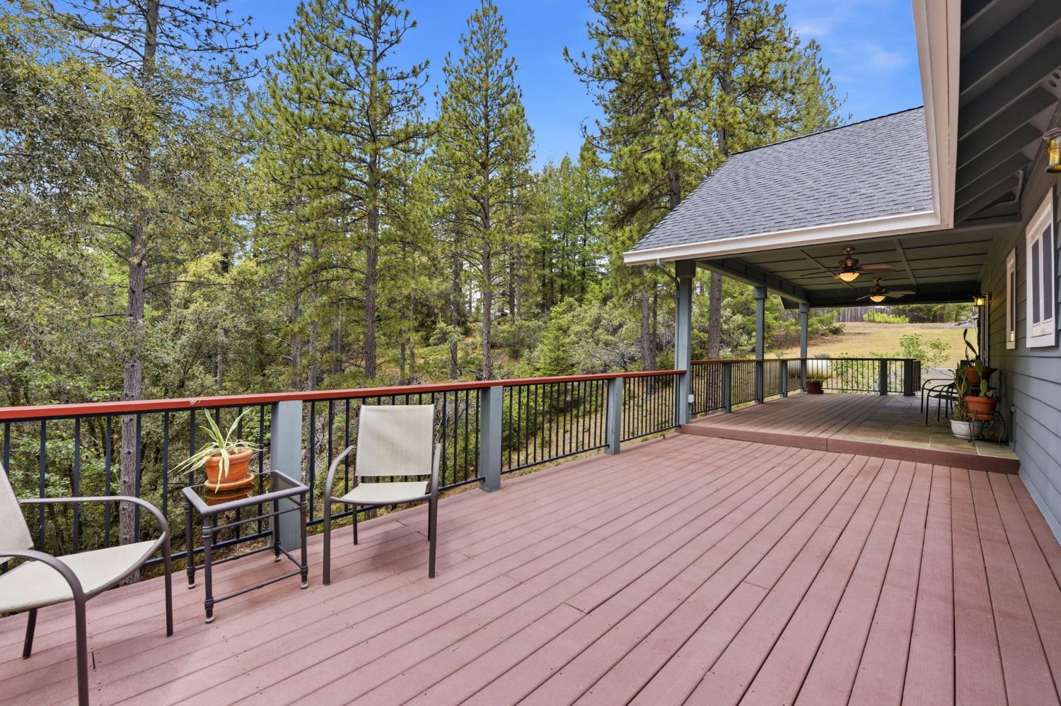 449 Plutes Way Colfax, CA 95713 - Photo 36 of 46