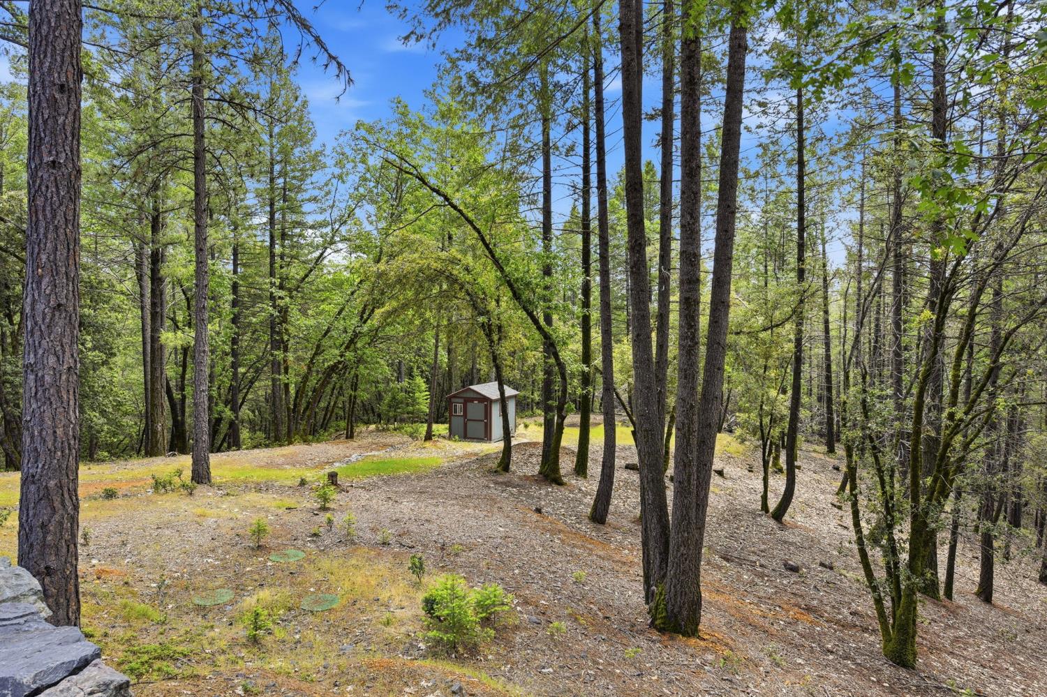 449 Plutes Way Colfax, CA 95713 - Photo 41 of 46