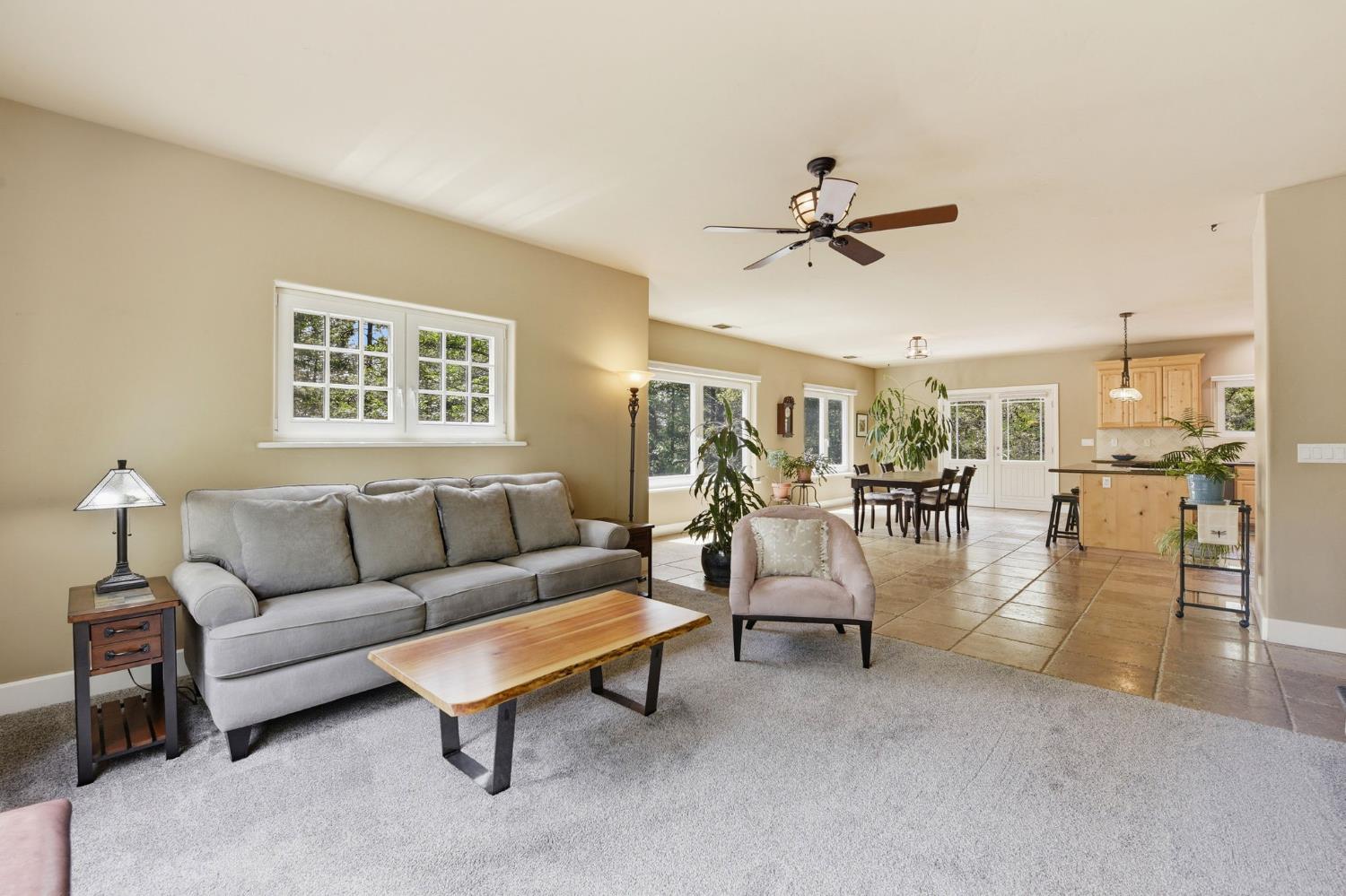 449 Plutes Way Colfax, CA 95713 - Photo 7 of 46