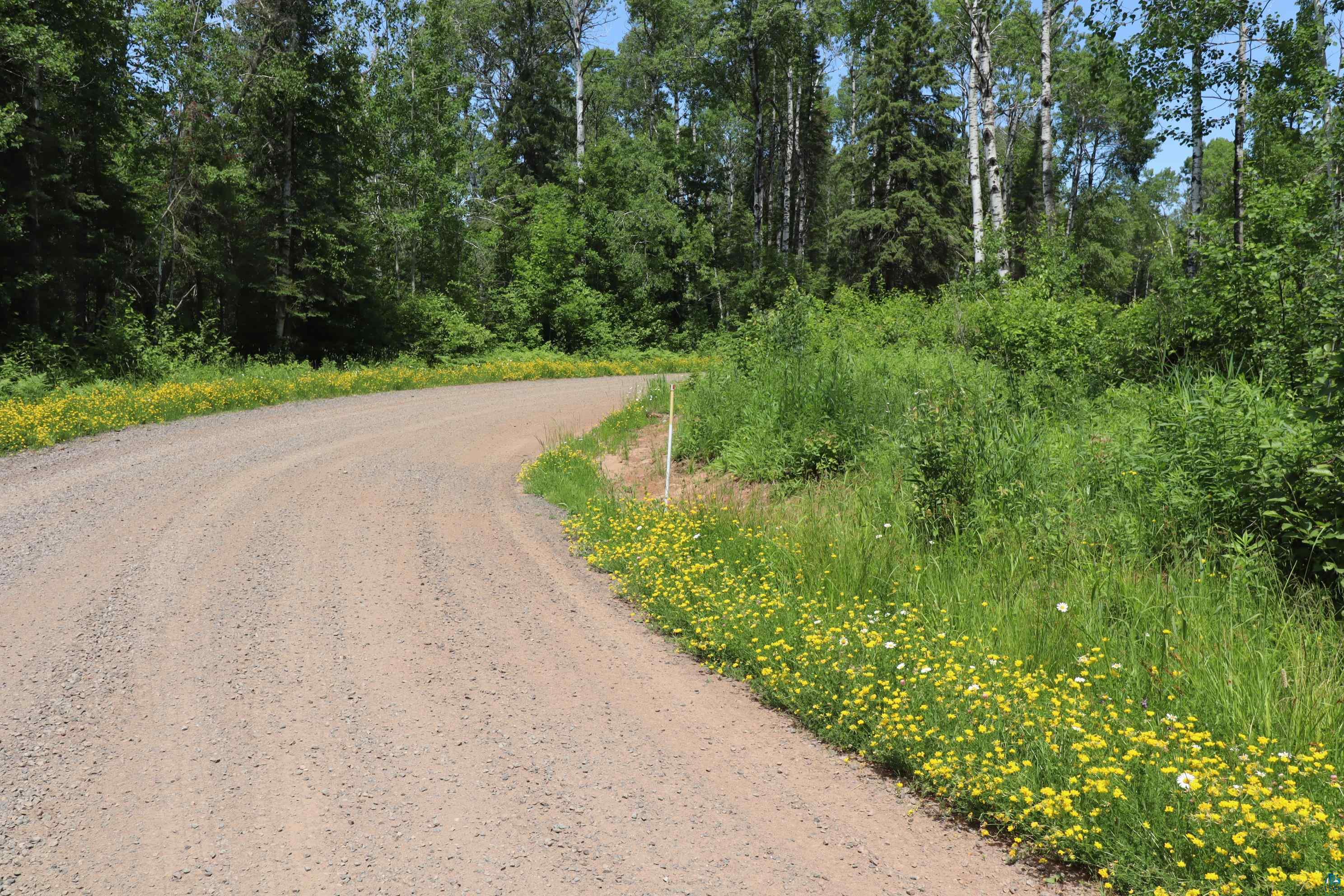 Lot 2 Campbell Road Herbster, WI 54844 - Photo 8 of 11