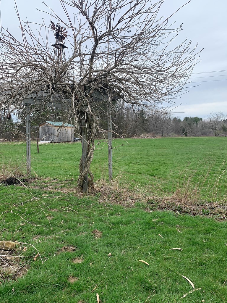 159 George Hill Road Cranberry, PA 16319 - Photo 41 of 46 Gallery Image 41
