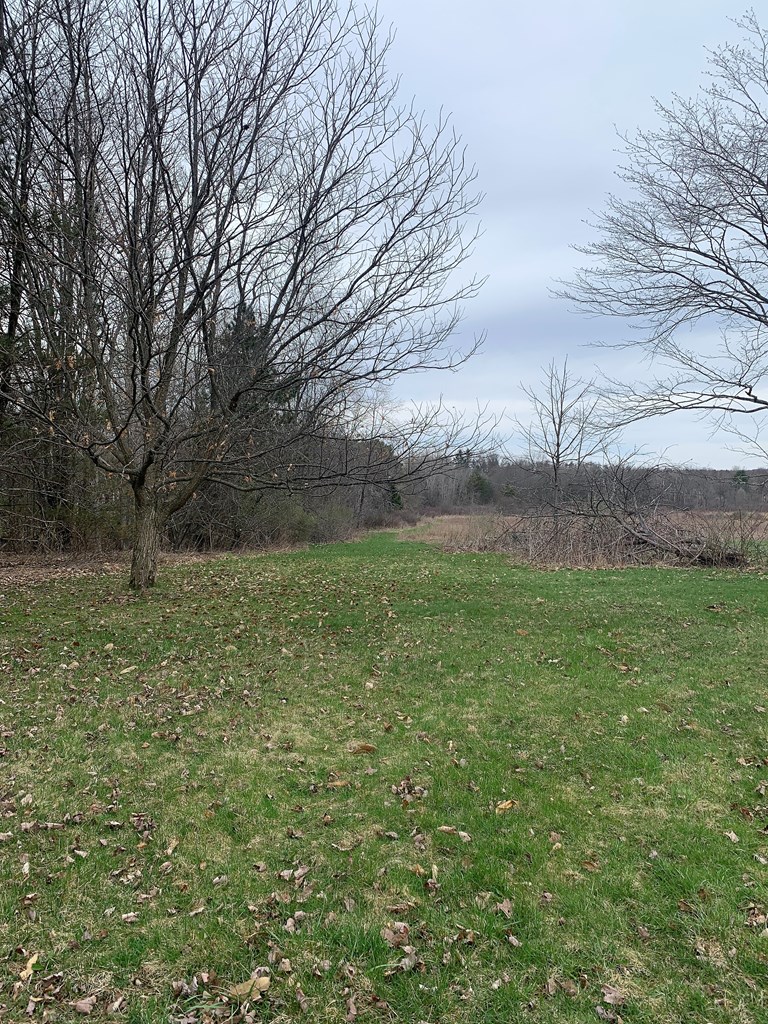 159 George Hill Road Cranberry, PA 16319 - Photo 42 of 46 Gallery Image 42
