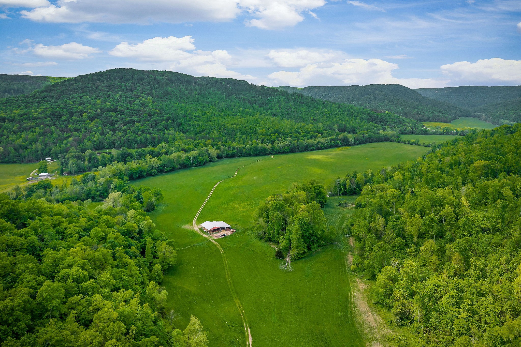 a view of a lush green hillside and a houses