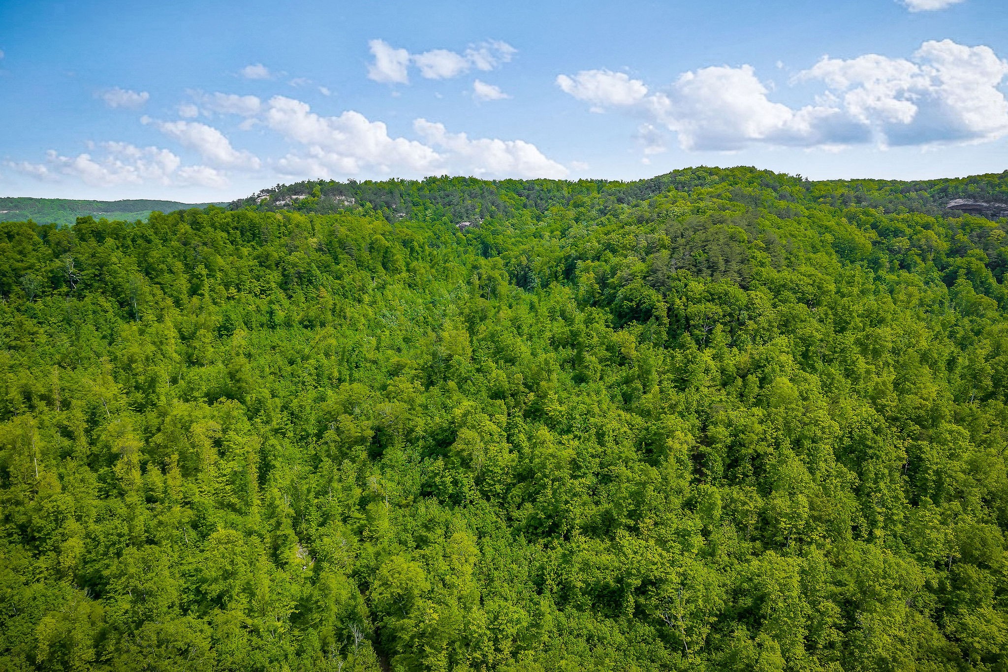 1687 Delk Creek Road Pall Mall, TN 38577 - Photo 11 of 81