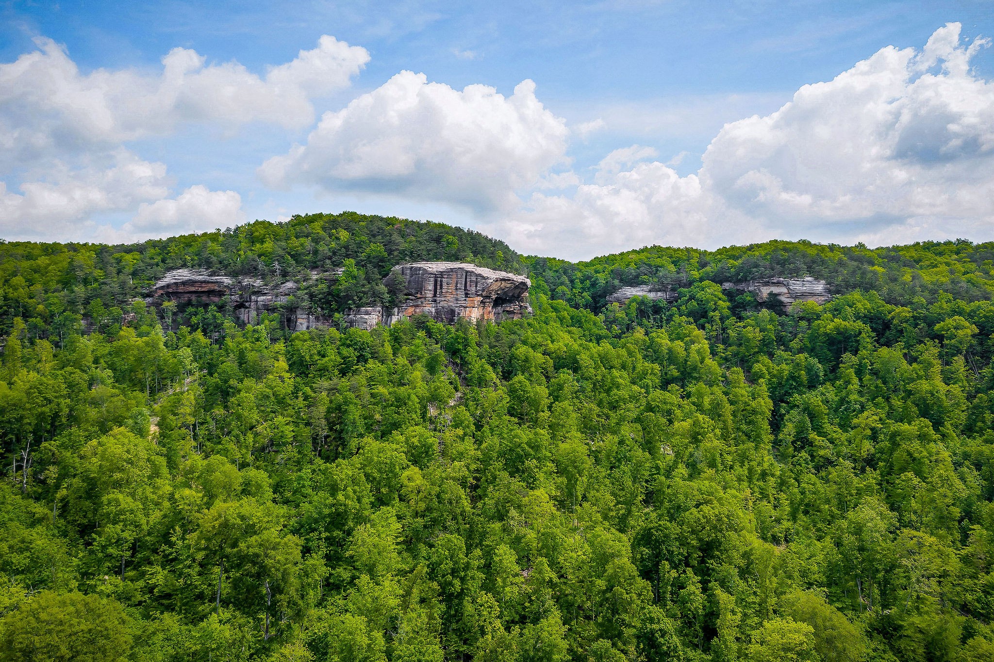 1687 Delk Creek Road Pall Mall, TN 38577 - Photo 12 of 81