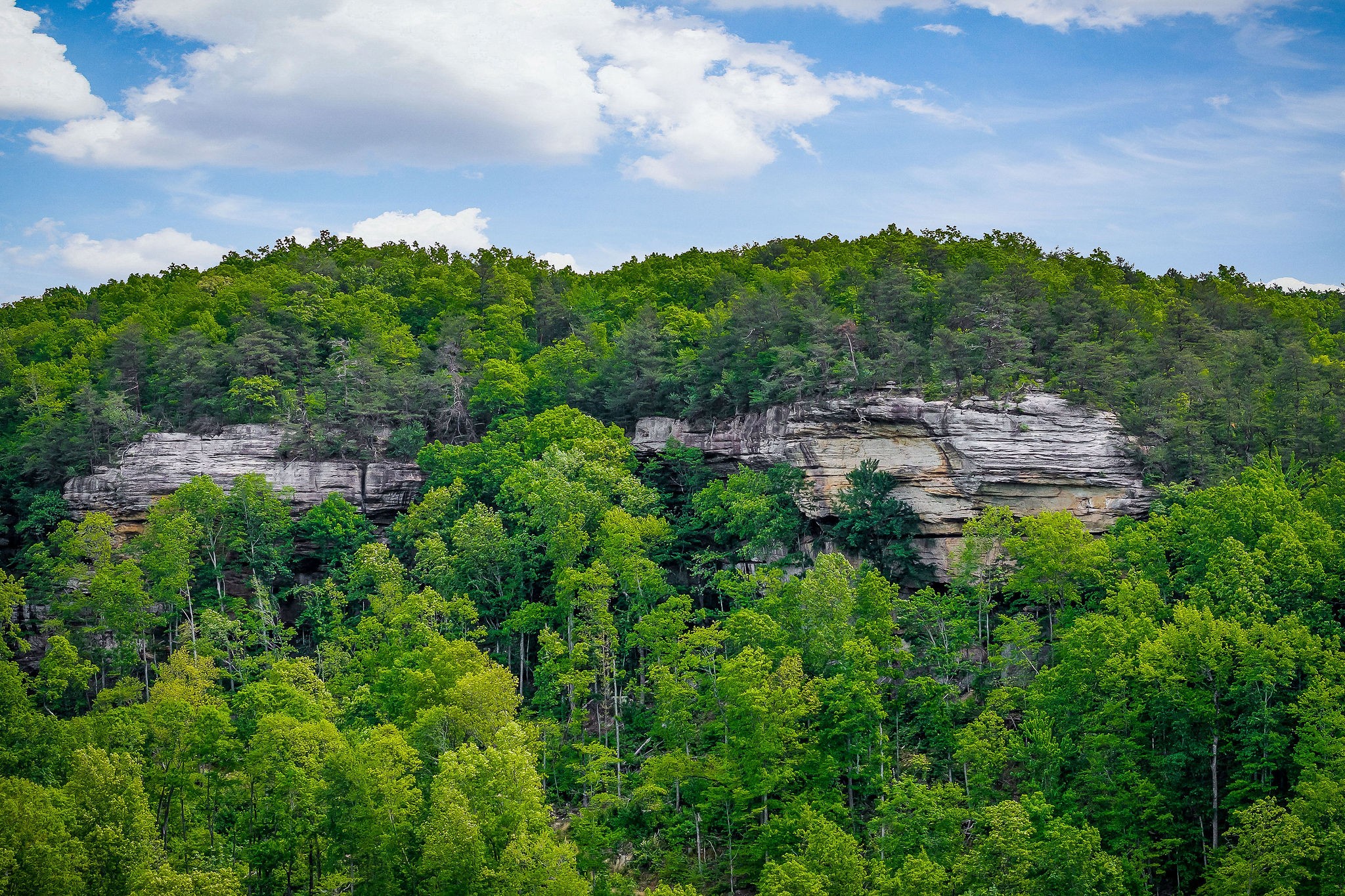 1687 Delk Creek Road Pall Mall, TN 38577 - Photo 14 of 81