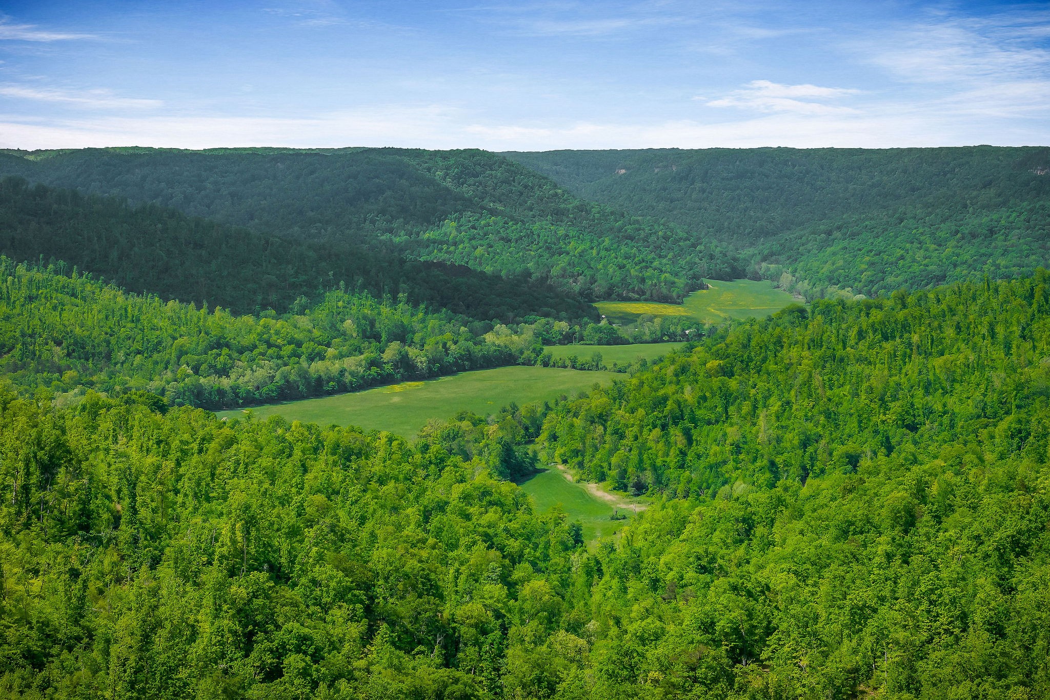 1687 Delk Creek Road Pall Mall, TN 38577 - Photo 17 of 81 a view of a lush green hillside and a houses