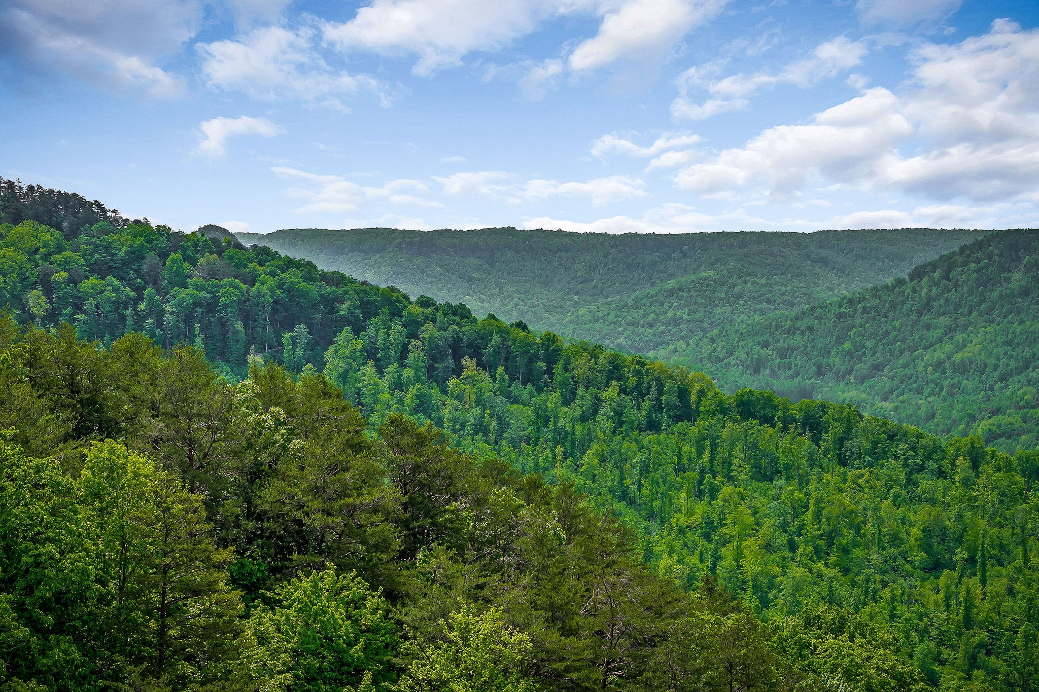 1687 Delk Creek Road Pall Mall, TN 38577 - Photo 22 of 81