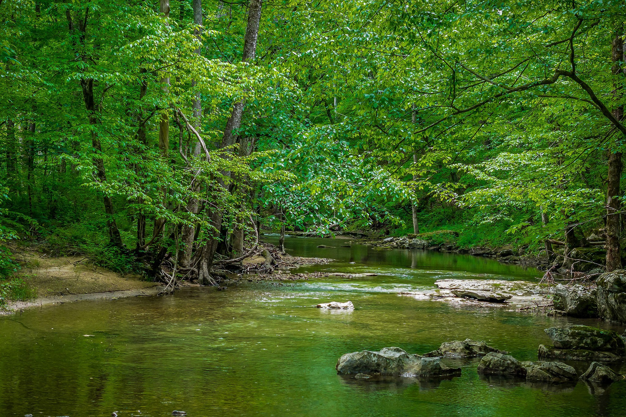 1687 Delk Creek Road Pall Mall, TN 38577 - Photo 24 of 81 a view of a lake from a yard