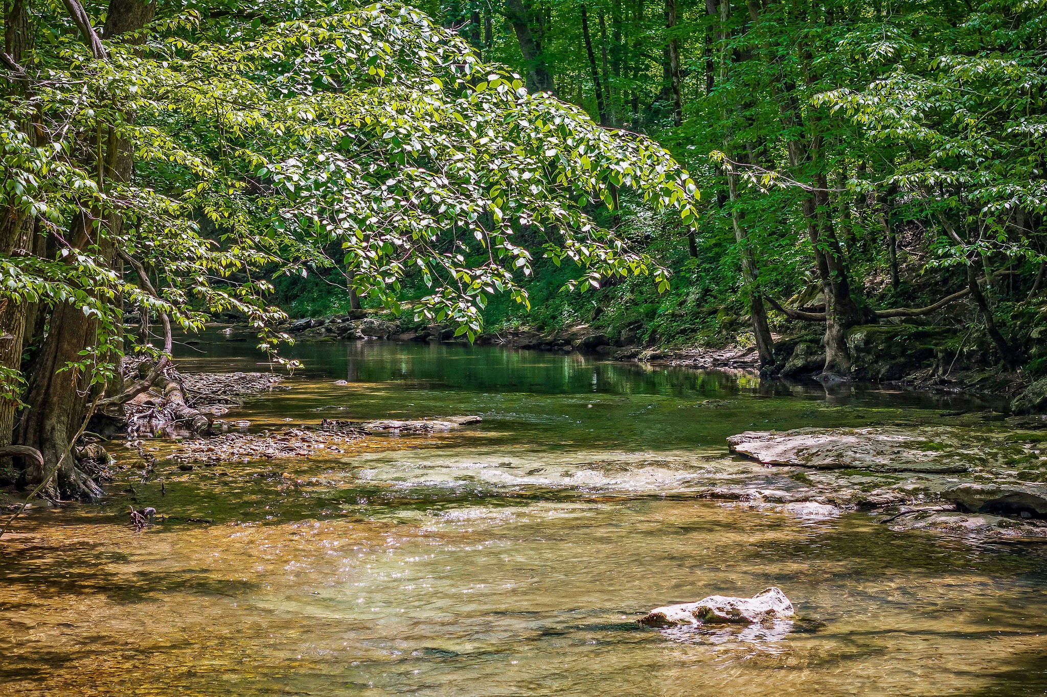 1687 Delk Creek Road Pall Mall, TN 38577 - Photo 25 of 81 a view of a lake view