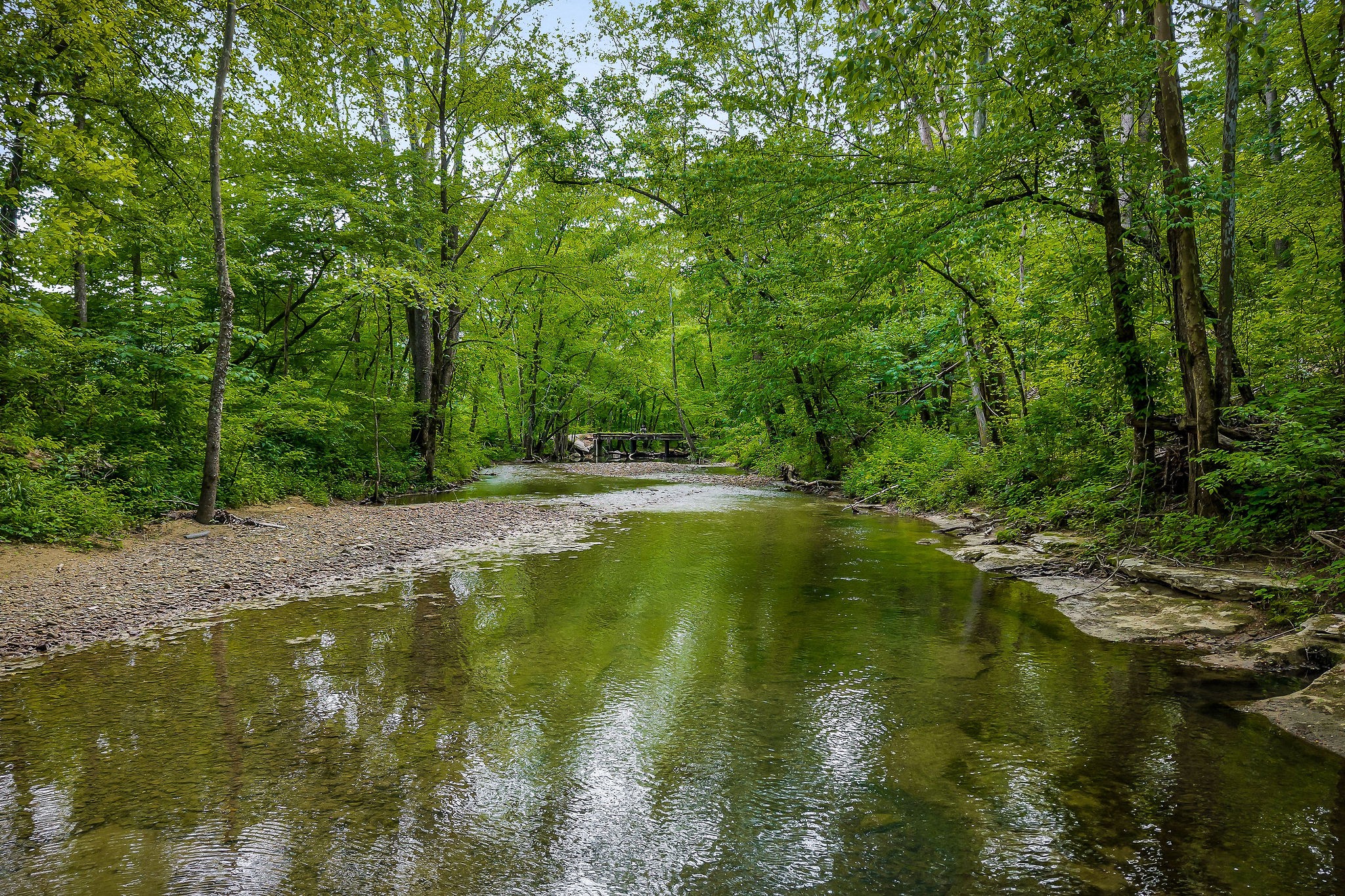 1687 Delk Creek Road Pall Mall, TN 38577 - Photo 27 of 81