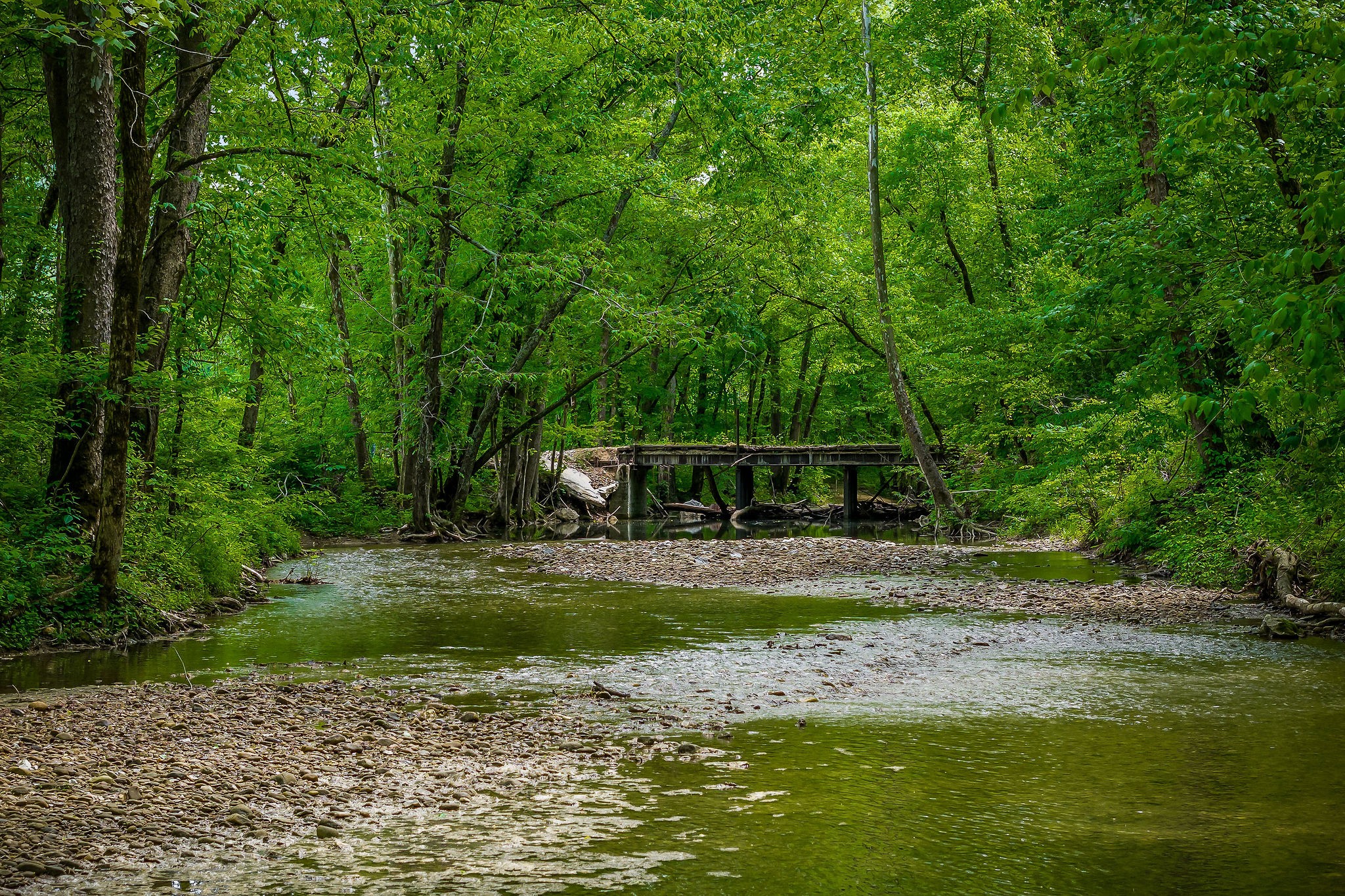 1687 Delk Creek Road Pall Mall, TN 38577 - Photo 28 of 81 a view of a house with a yard