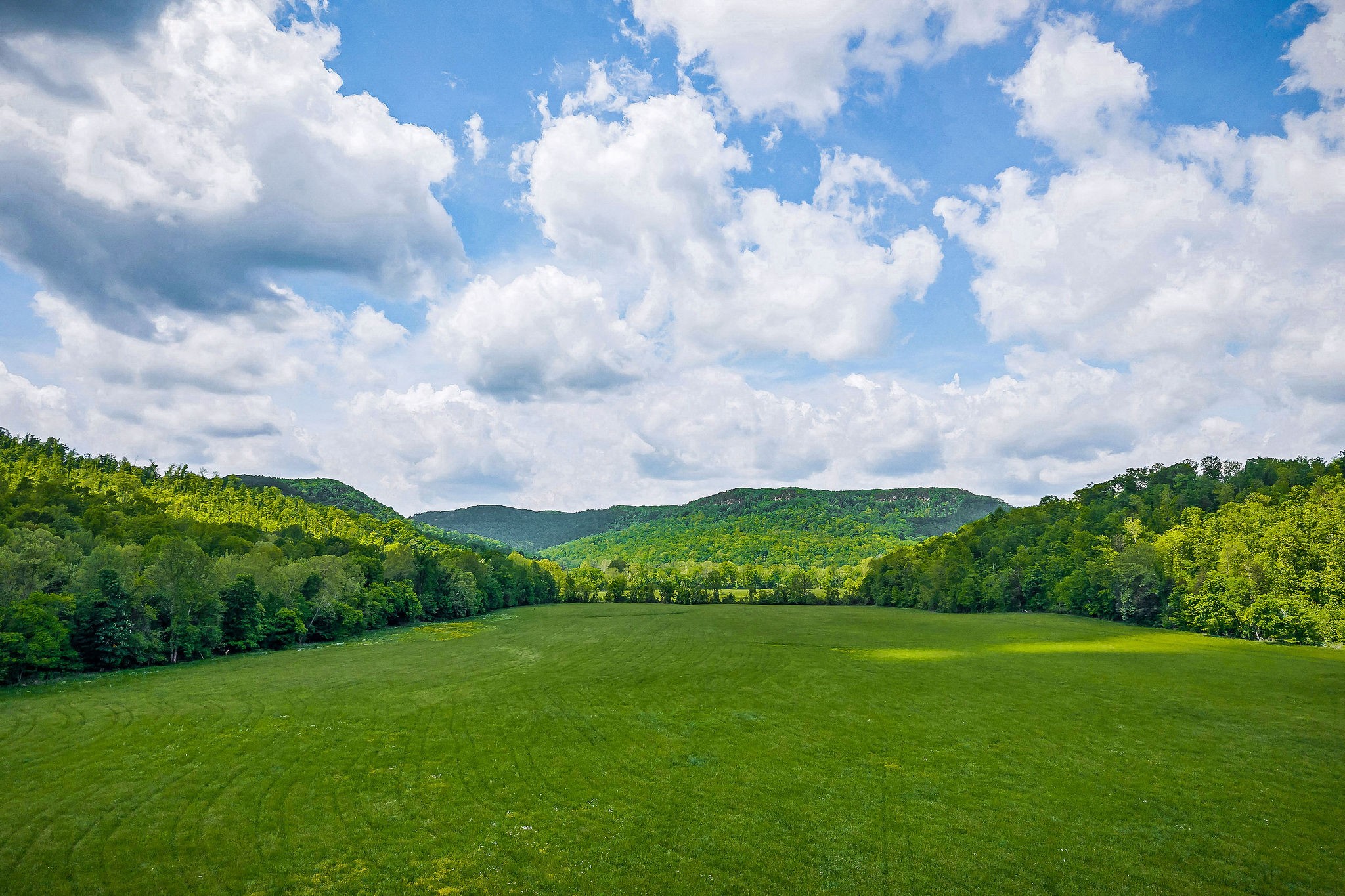1687 Delk Creek Road Pall Mall, TN 38577 - Photo 29 of 81 a view of a big yard with lawn chairs and large trees