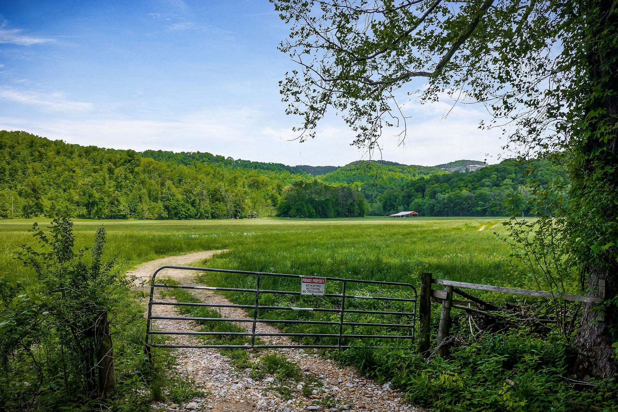 1687 Delk Creek Road Pall Mall, TN 38577 - Photo 36 of 81 a view of a golf course with a garden