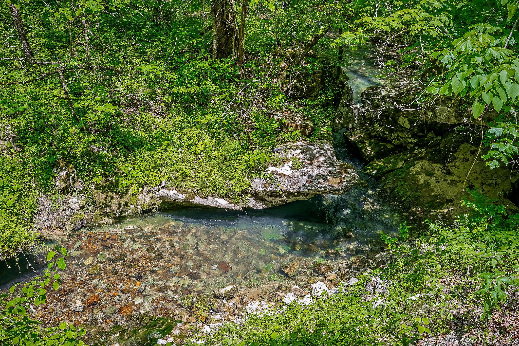 1687 Delk Creek Road Pall Mall, TN 38577 - Photo 53 of 81