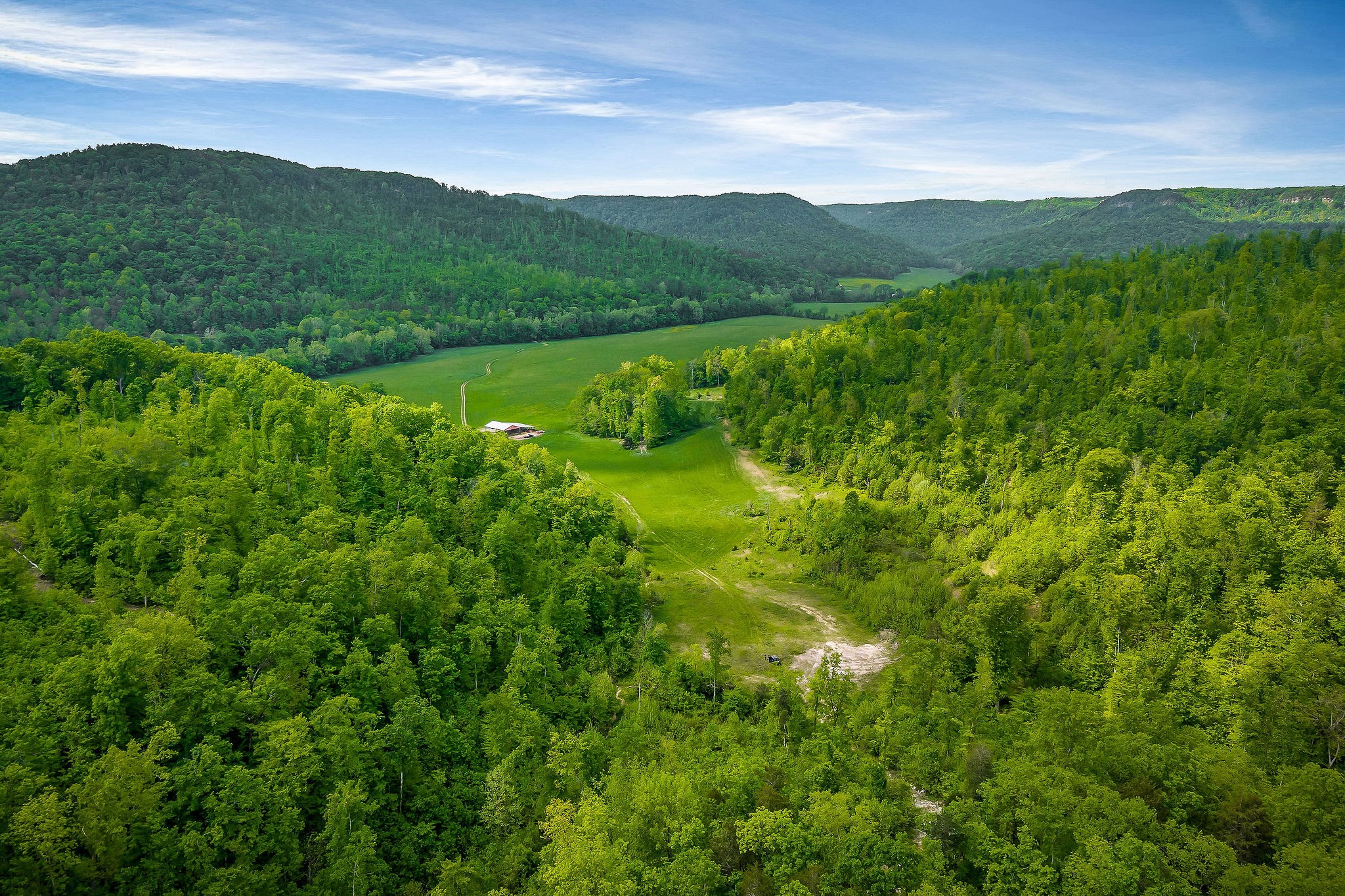 1687 Delk Creek Road Pall Mall, TN 38577 - Photo 6 of 81 a view of an lush green mountain