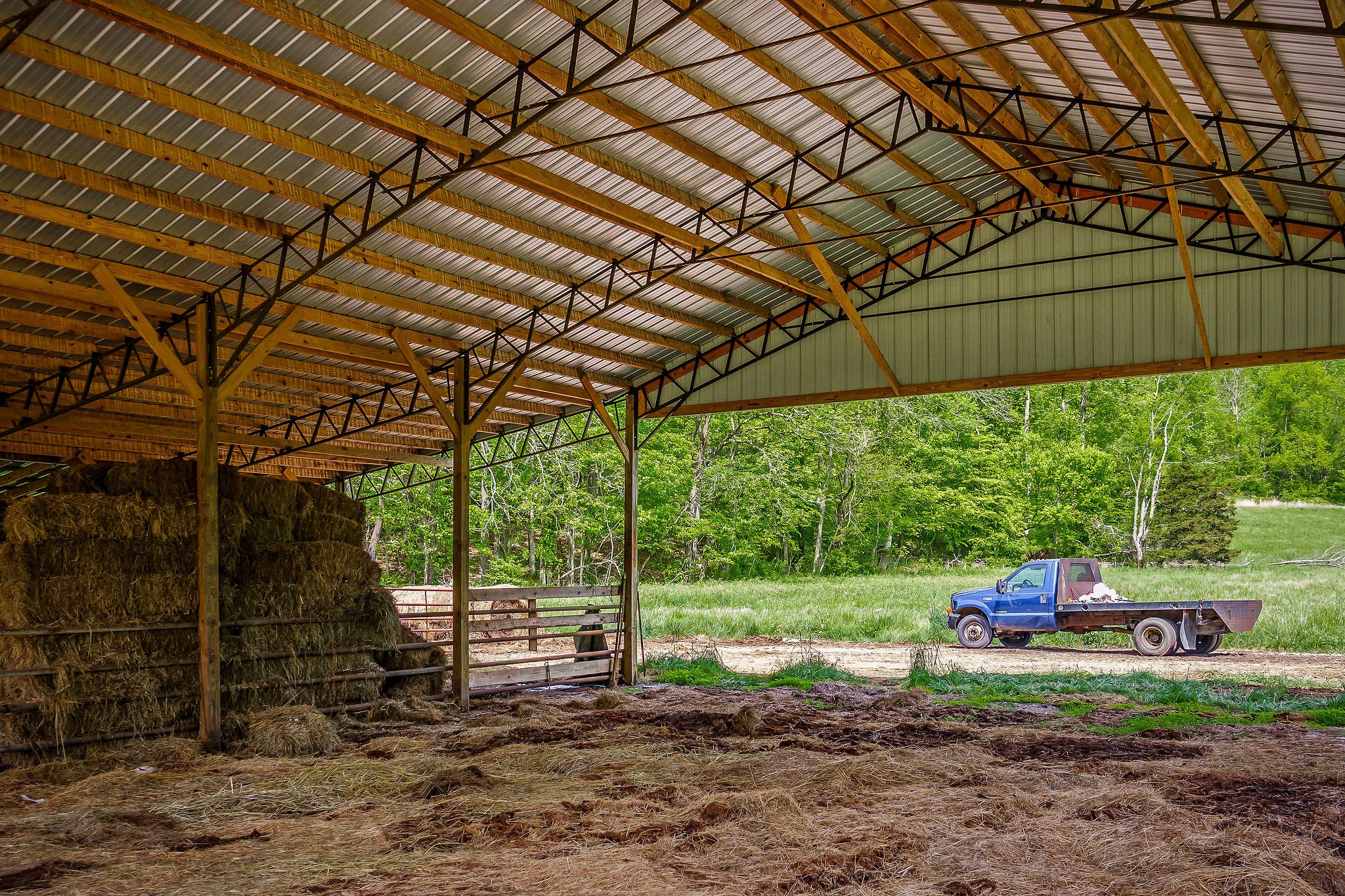 1687 Delk Creek Road Pall Mall, TN 38577 - Photo 64 of 81 a view of backyard with trampoline