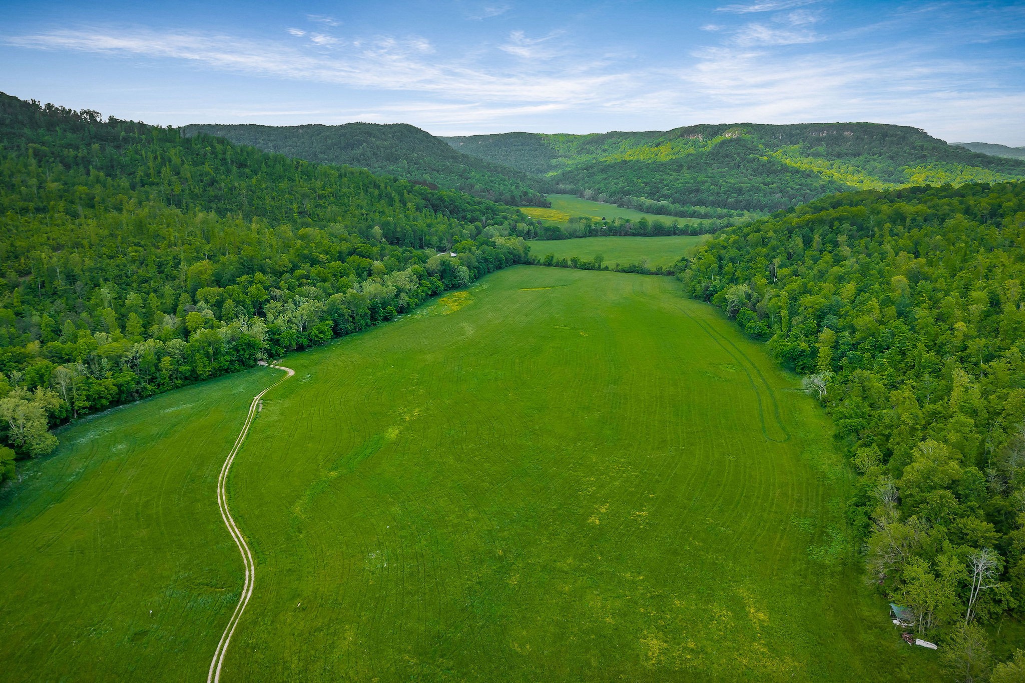 1687 Delk Creek Road Pall Mall, TN 38577 - Photo 7 of 81