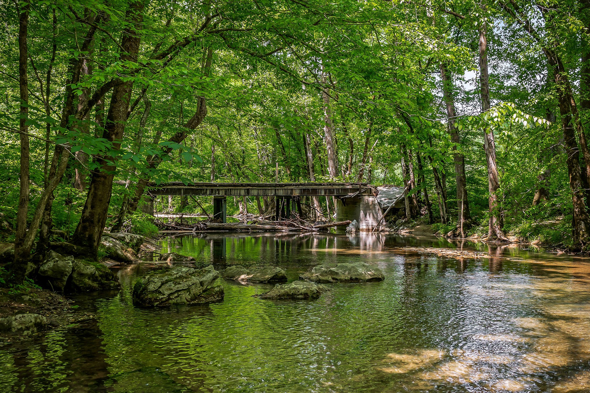 1687 Delk Creek Road Pall Mall, TN 38577 - Photo 73 of 81 a view of house with swimming pool and green space