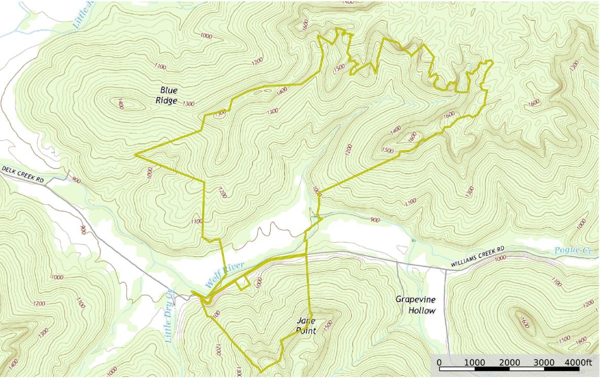 1687 Delk Creek Road Pall Mall, TN 38577 - Photo 81 of 81