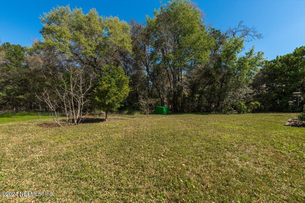 6481 Brooklyn Bay Road Keystone Heights, FL 32656 - Photo 36 of 45 a view of a yard with a trees