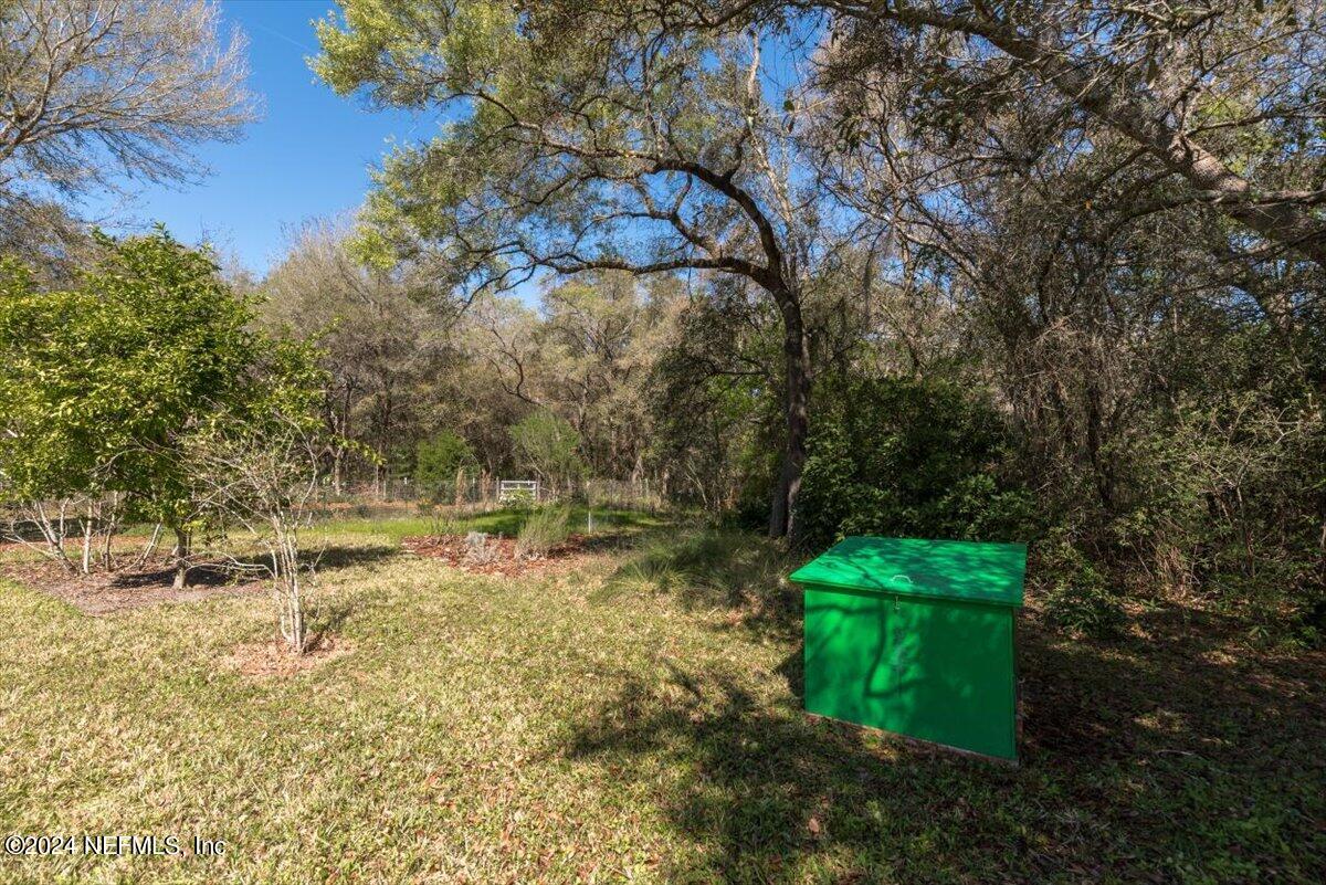 6481 Brooklyn Bay Road Keystone Heights, FL 32656 - Photo 39 of 45 a backyard of a house with lots of green space