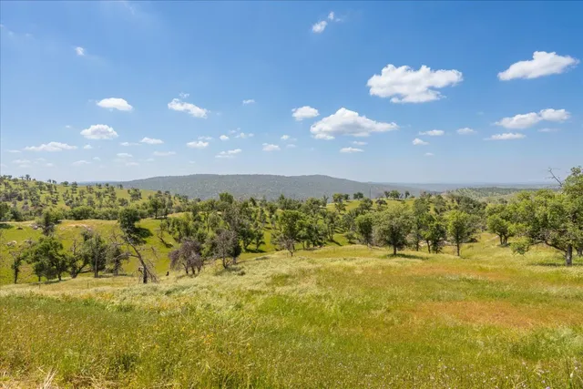 a wooden fence with some trees in the background