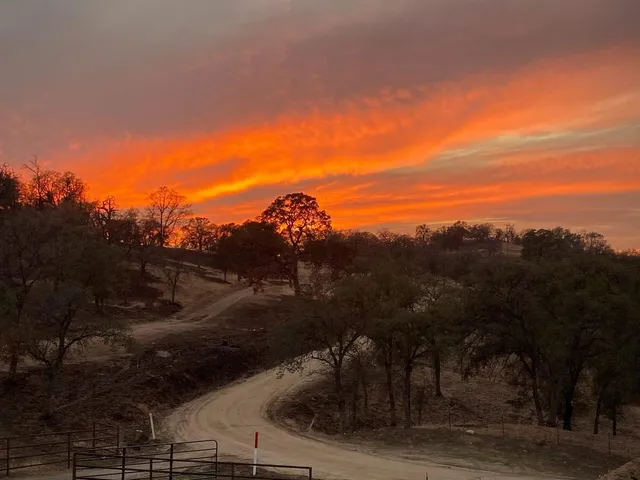 view of a garden with an outdoor space