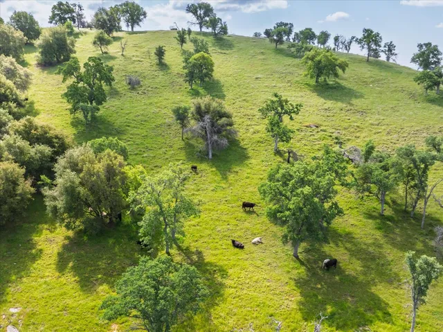 a view of a yard with an outdoor space