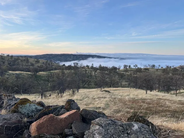 $1,750,000 | 39603 Road 810, Raymond, CA 93653