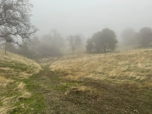 $1,750,000 | 39603 Road 810, Raymond, CA 93653