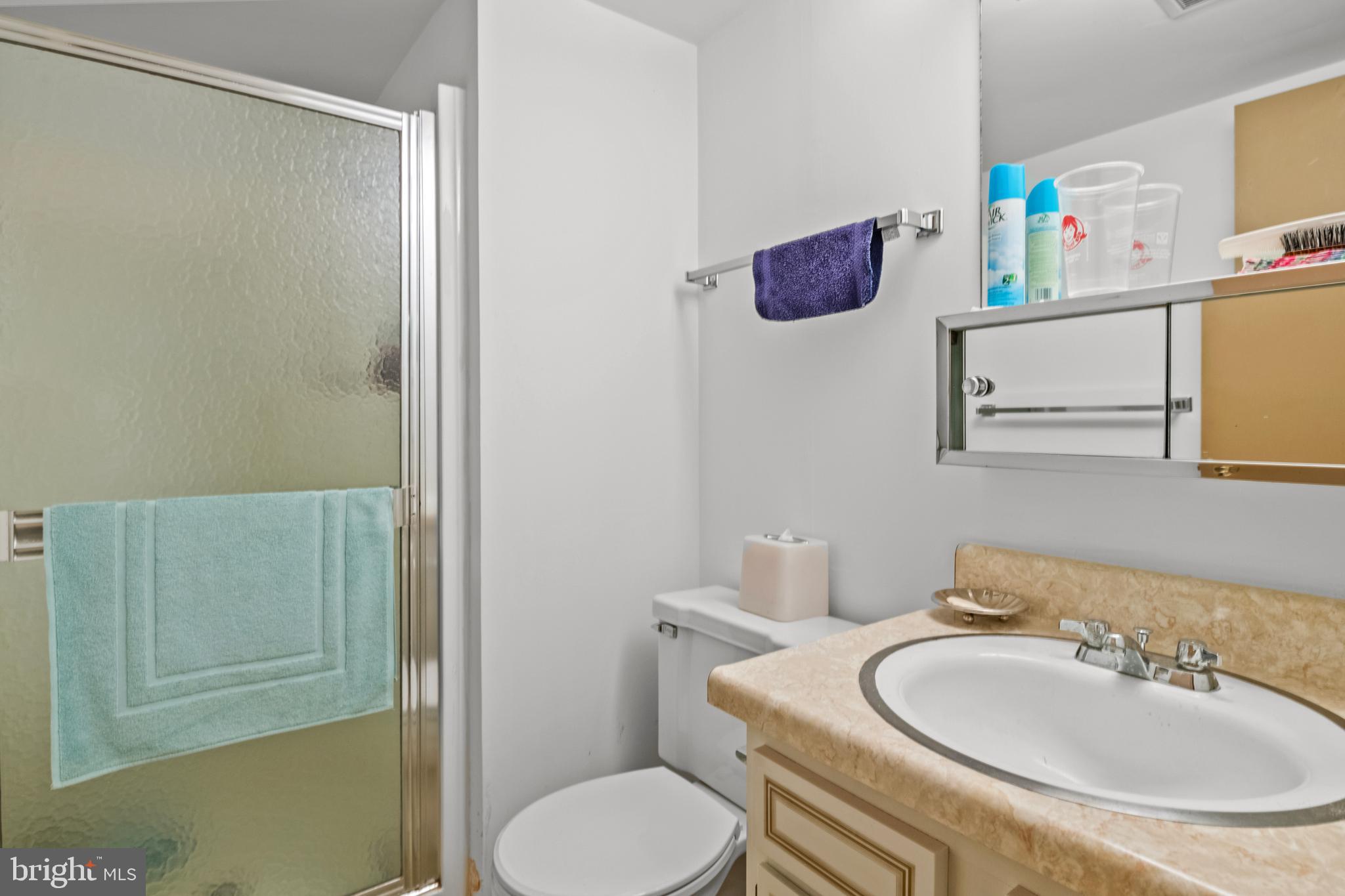 305 Green Lane Reading, PA 19601 - Photo 23 of 31