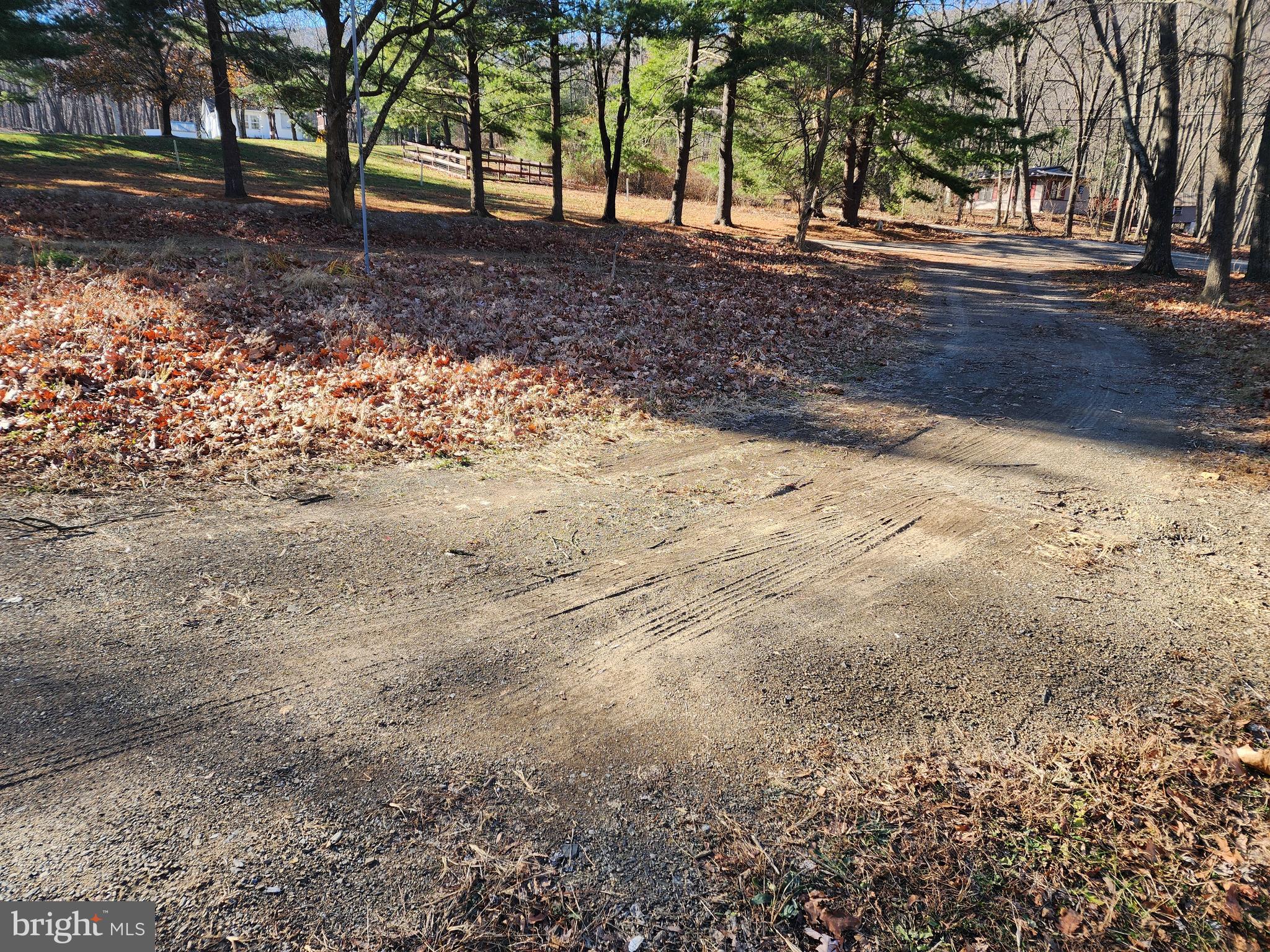 15689 Ridge Road Fort Loudon, PA 17224 - Photo 11 of 24 a view of dirt yard with a large tree