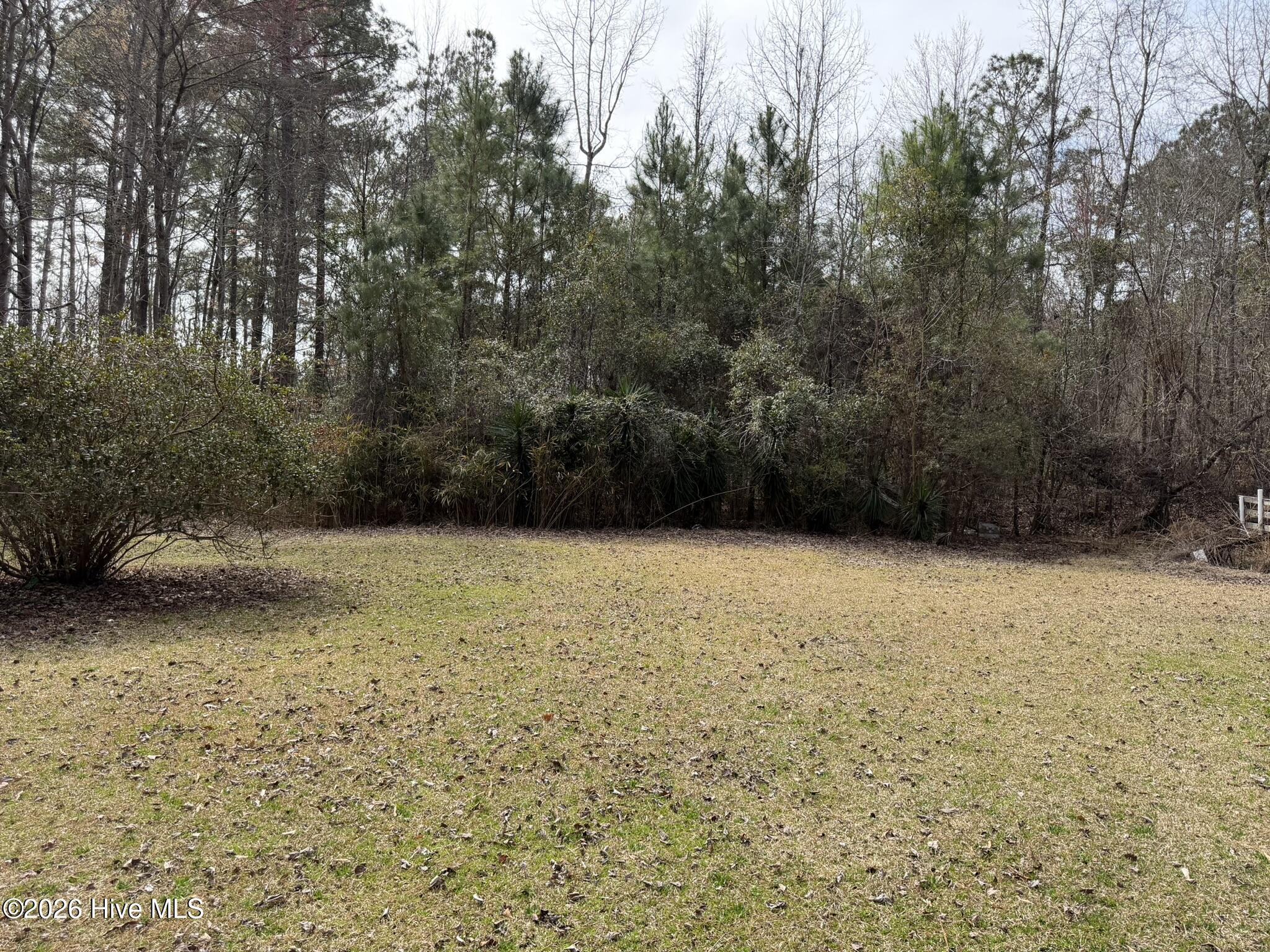 3414 Possum Hill Road Bath, NC 27808 - Photo 12 of 22 IMG_0144