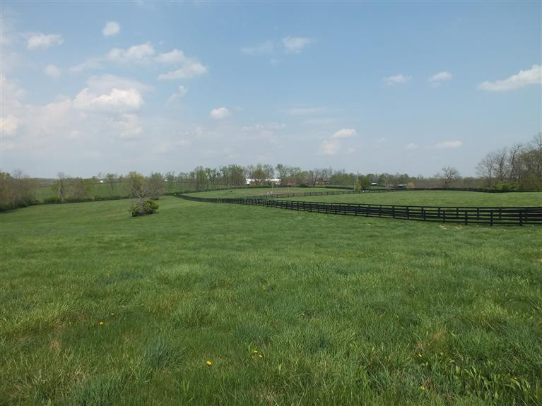 3920 Delaney Ferry Road Versailles, KY 40383 - Photo 28 of 48 Photo 28