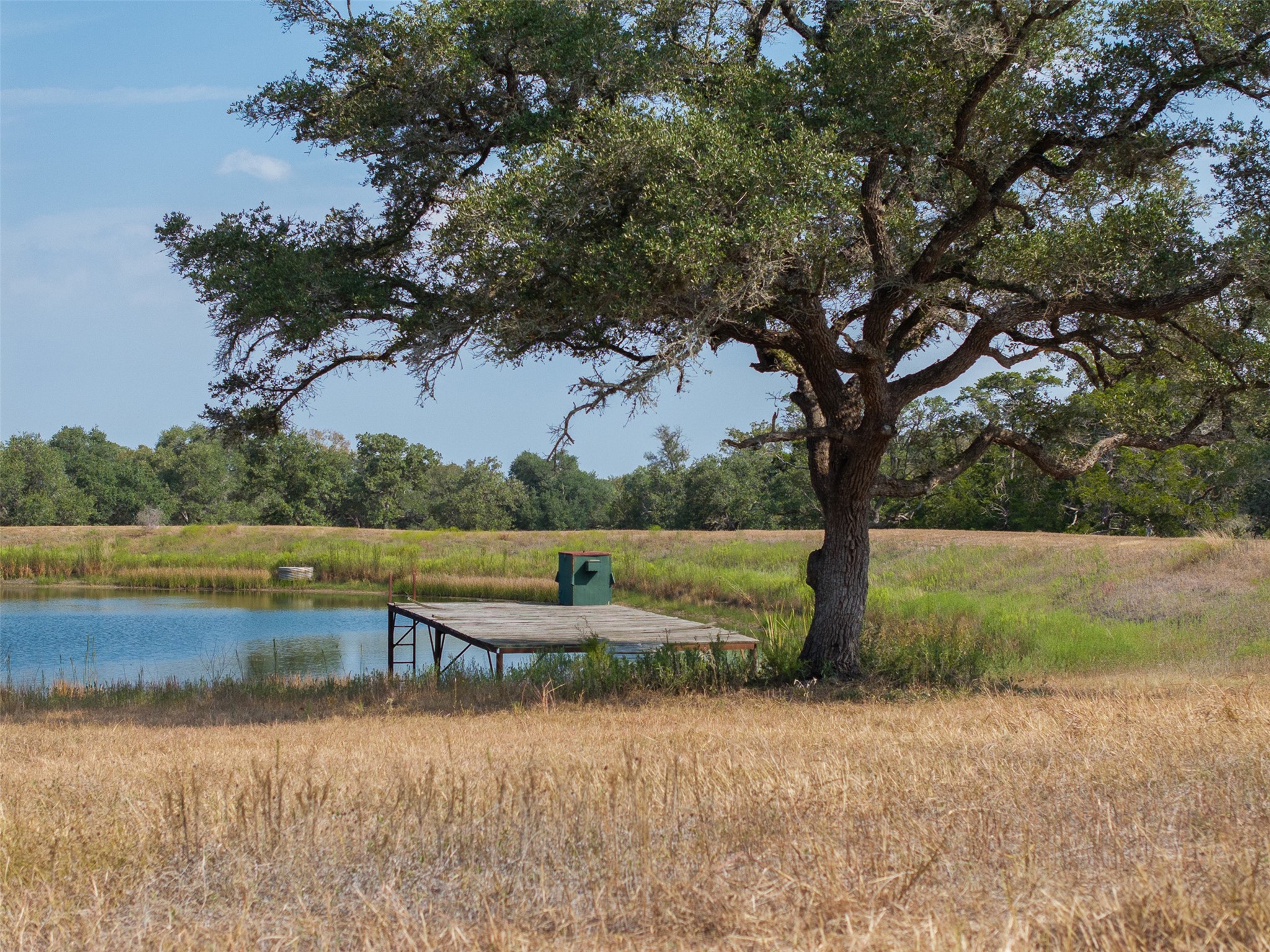 2574 FM 2434 Weimar, TX 78962 - Photo 45 of 48 Gallery Image 45