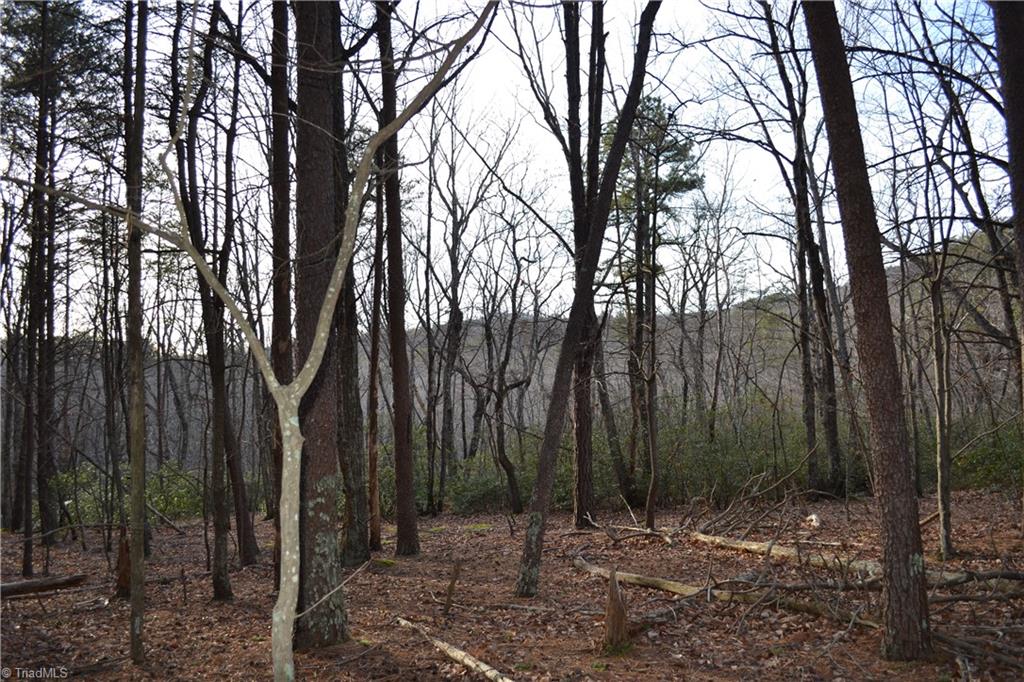 1160 7 Springs Road Walnut Cove, NC 27052 - Photo 1 of 14 Gallery Image 1