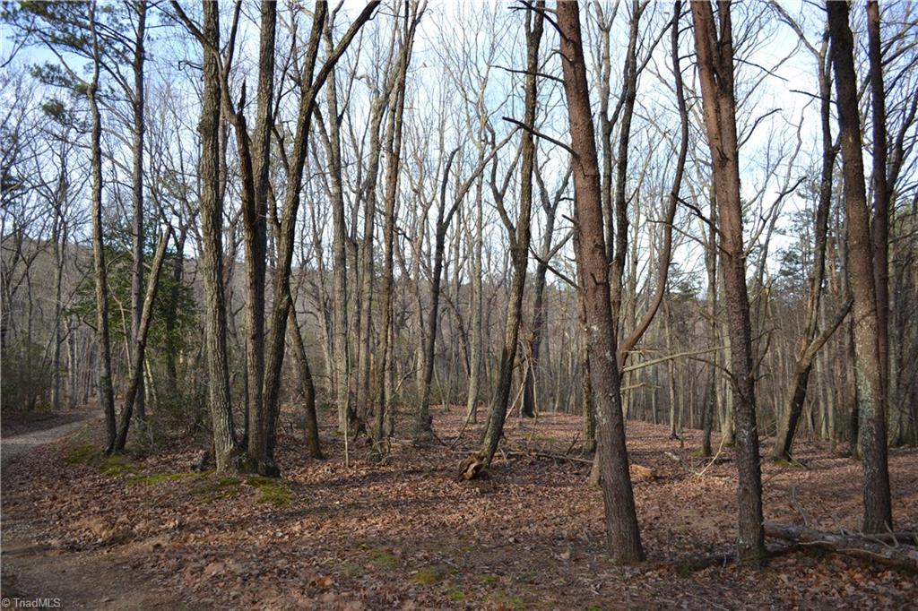 1160 7 Springs Road Walnut Cove, NC 27052 - Photo 2 of 14 Gallery Image 2