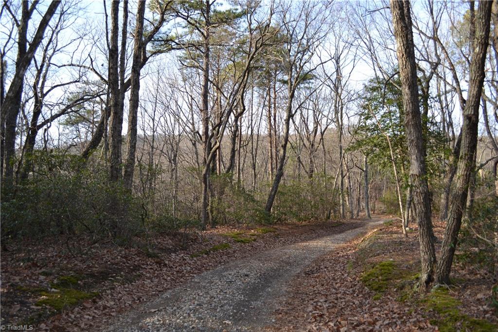 1160 7 Springs Road Walnut Cove, NC 27052 - Photo 3 of 14 Gallery Image 3