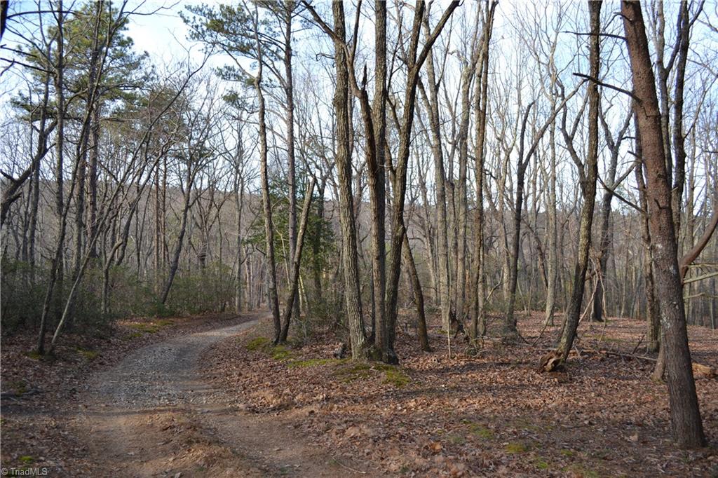1160 7 Springs Road Walnut Cove, NC 27052 - Photo 5 of 14 Gallery Image 5