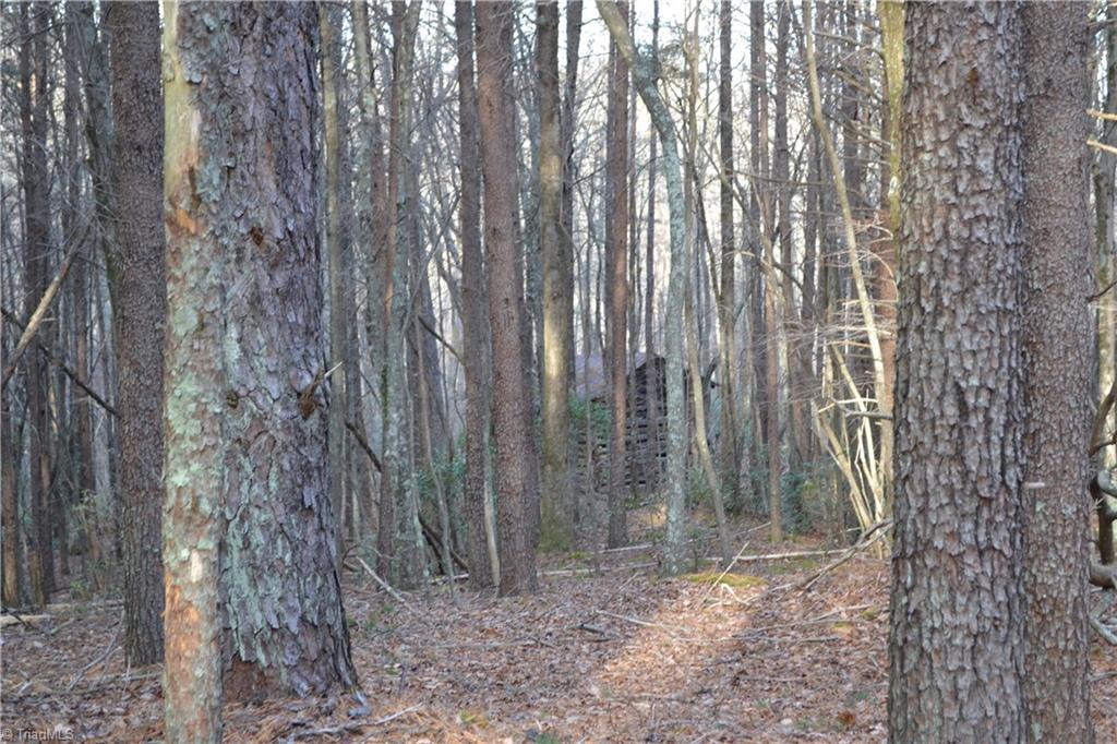 1160 7 Springs Road Walnut Cove, NC 27052 - Photo 7 of 14 Gallery Image 7