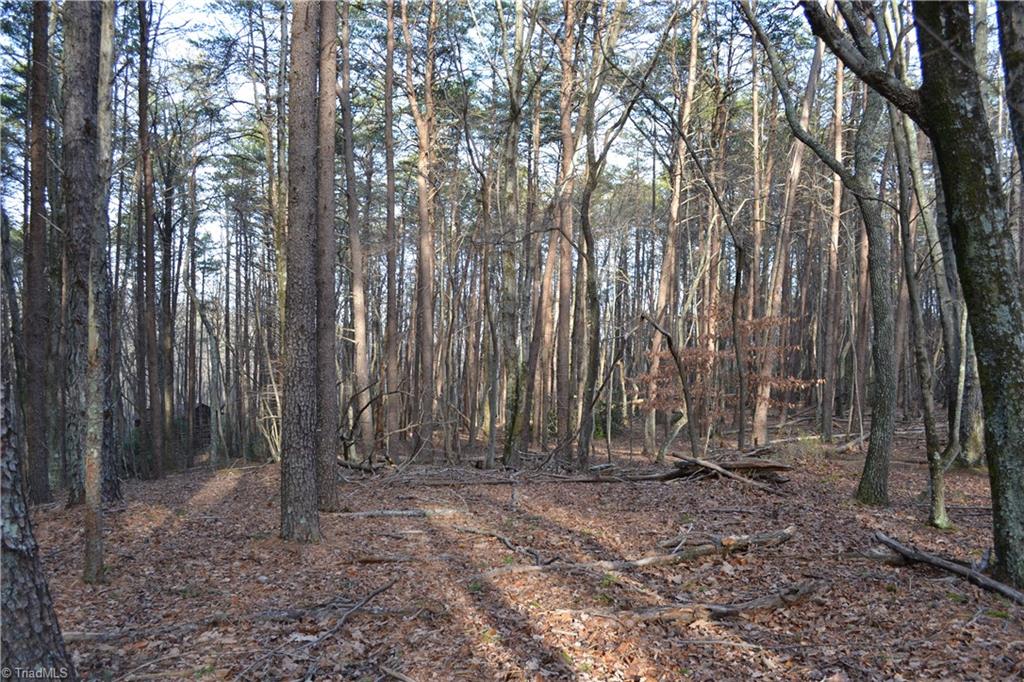 1160 7 Springs Road Walnut Cove, NC 27052 - Photo 8 of 14 Gallery Image 8