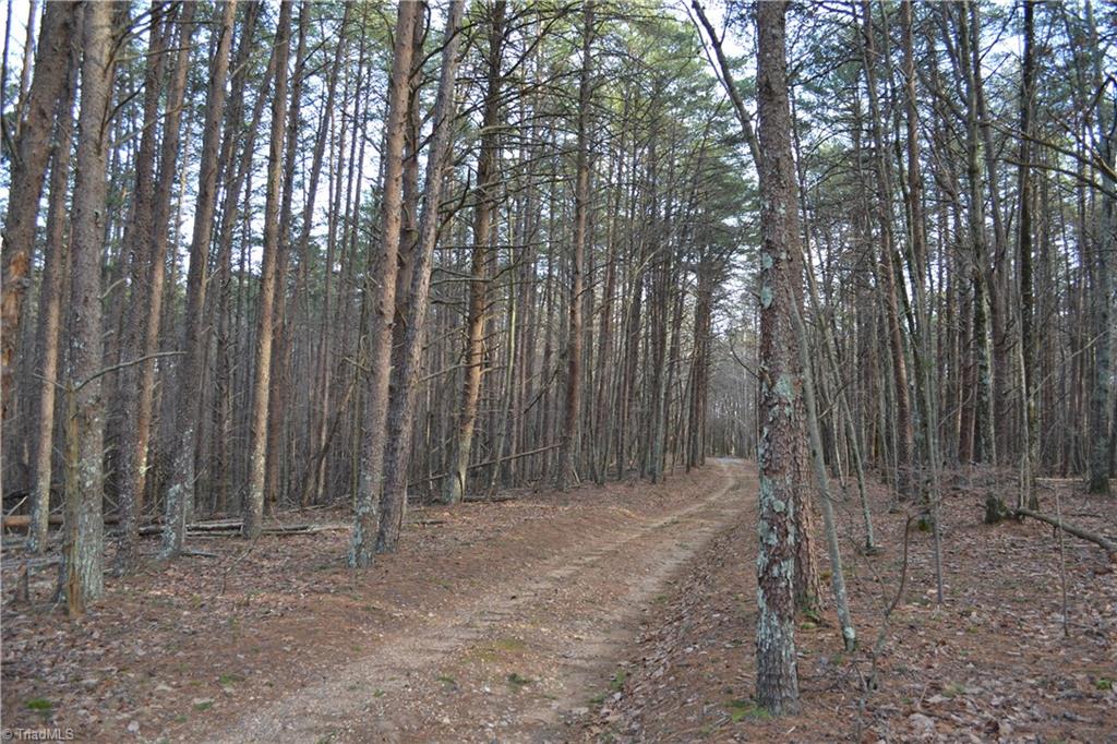 1160 7 Springs Road Walnut Cove, NC 27052 - Photo 9 of 14 Gallery Image 9