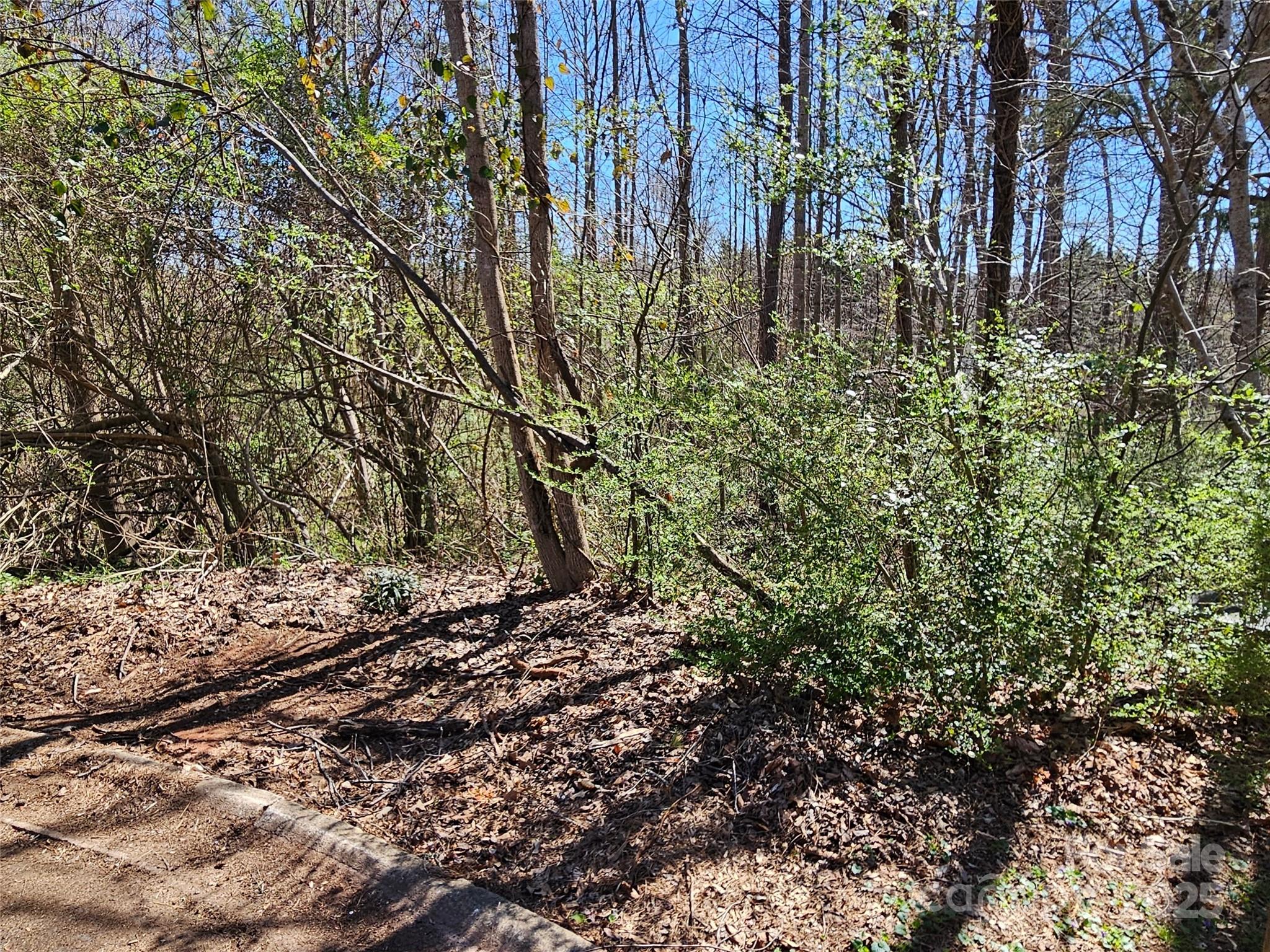 0 Gray Court, Unit 56 & 55 Rutherfordton, NC 28139 - Photo 2 of 9 a big yard with lots of green space